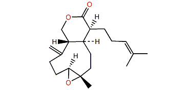 Acalycixeniolide F